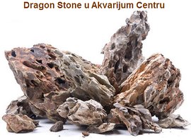 Dragon Stone